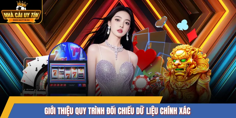Giới thiệu quy trình đối chiếu dữ liệu chính xác