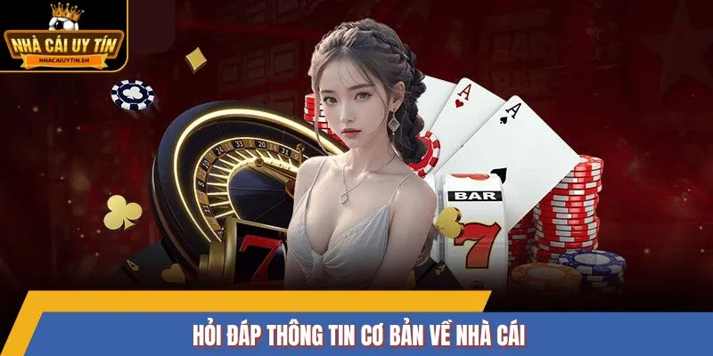 Hỏi đáp thông tin cơ bản về nhà cái
